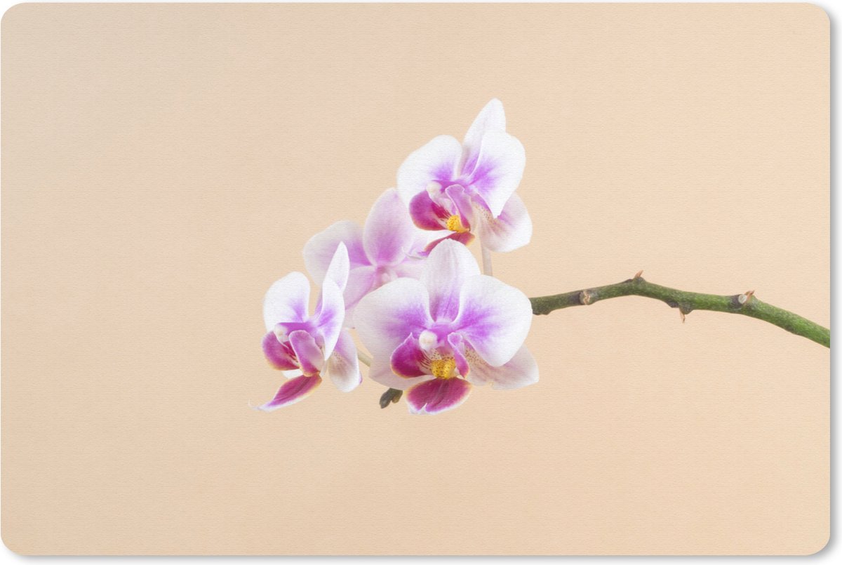 Muismat Orchidee - Witte en roze orchidee muismat rubber - 27x18 cm - Muismat met foto
