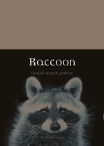 Animal - Raccoon