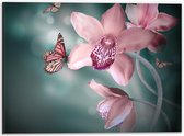 Dibond - Sprookjesachtige Vlinders op Bloemen - 40x30cm Foto op Aluminium (Met Ophangsysteem)