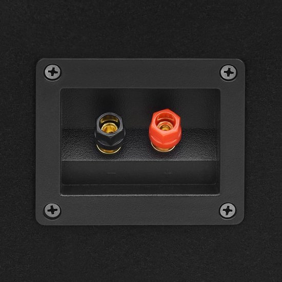 vidaXL - Hifi-podiumluidsprekers - 2 - st - passief - professioneel - 1000 - W - zwart — afbeelding 3