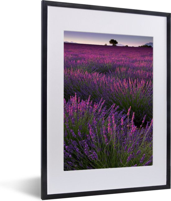 Paarse lavendel bloemen in een veld fotolijst zwart met witte passe-partout klein 30x40 cm - Foto print in lijst