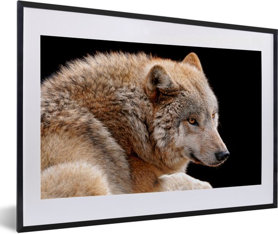 Fotolijst incl. Poster - Bruine wolf - 60x40 cm - Posterlijst