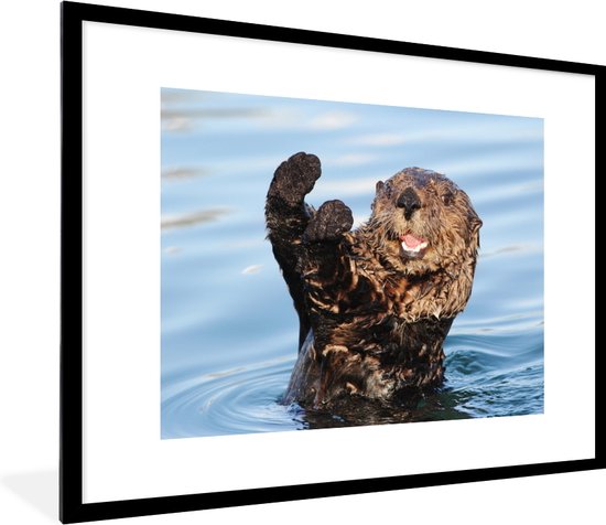 Fotolijst incl. Poster - Otter in het water - 80x60 cm - Posterlijst