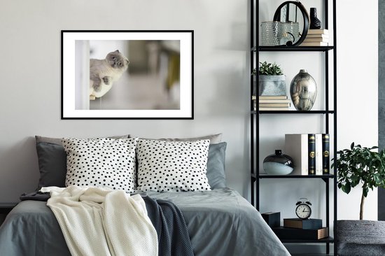 Chaton regarde le cadre photo de l'appareil photo noir avec tapis blanc 60x90