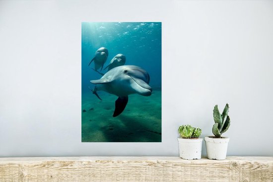 Trois dauphins nagent sous l'eau dans une eau bleue avec des rayons de soleil, accrochés à un mur.