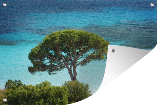 Muurdecoratie Keltisch strand van Corsica - 180x120 cm - Tuinposter - Tuindoek - Buitenposter
