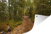 Un chemin forestier plein de feuilles Affiche de jardin 200x100 cm - Toile de jardin / Toile d'extérieur / Peintures d'extérieur (décoration de jardin) XXL / Groot format!