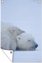 Muurdecoratie IJsbeer - Welp - Sneeuw - 120x180 cm - Tuinposter - Tuindoek - Buitenposter