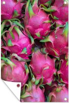 Tuindecoratie Fruit - Roze - Drakenfruit - 40x60 cm - Tuinposter - Tuindoek - Buitenposter