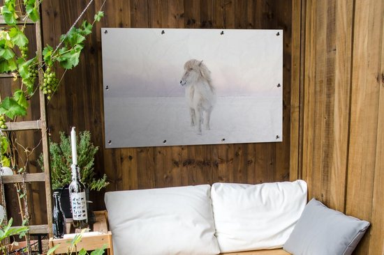 Tuinposter 120x80 cm - Tuindecoratie Wit IJslander paard in de sneeuw - Poster voor in de tuin - Buiten decoratie - Schutting tuinschilderij - Tuindoek muurdecoratie - Wanddecoratie balkondoek