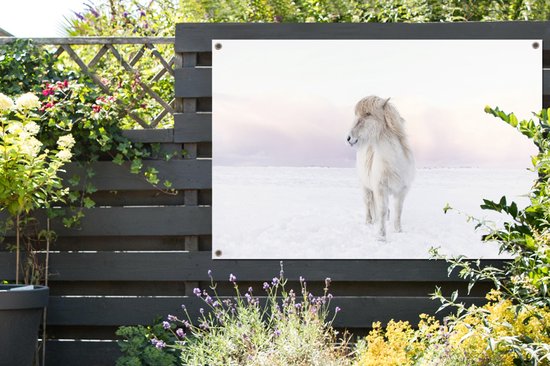 Tuinposter 120x80 cm - Tuindecoratie Wit IJslander paard in de sneeuw - Poster voor in de tuin - Buiten decoratie - Schutting tuinschilderij - Tuindoek muurdecoratie - Wanddecoratie balkondoek