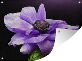 Tuinschilderij Paarse anemoon - 80x60 cm - Tuinposter - Tuindoek - Buitenposter