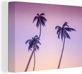 Canvas Schilderij Silhouetten van kronkelende palmbomen tegen een gekleurde lucht - 120x90 cm - Wanddecoratie