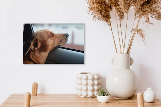 Chien profitant de l'extérieur toile 2cm 30x20 cm - petit - Tirage photo sur toile (Décoration murale salon / chambre) / Peintures sur toile pour Animaux domestiques