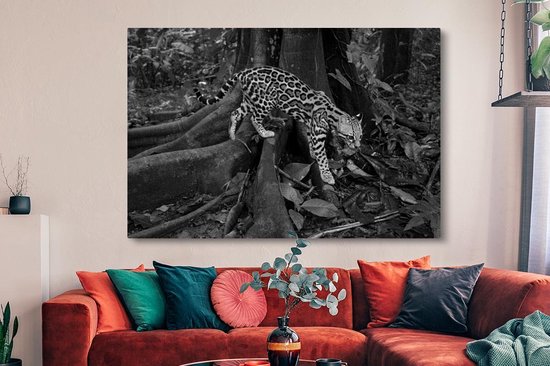 Peintures sur toile - Ocelot dans la jungle du Costa Rica en noir et blanc - 150x100 cm - Décoration murale