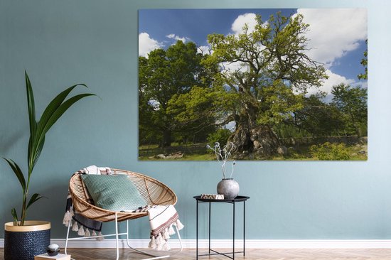 Tableau sur toile 150x100 cm - Décoration murale Le chêne de Rumskulla dans le parc national de Norra Kvill - Décoration murale salon - Décoration chambre - Accessoires chambre - Peintures