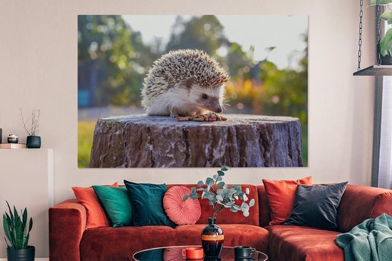 Tableau sur toile Manger un hérisson - 150x100 cm - Décoration murale