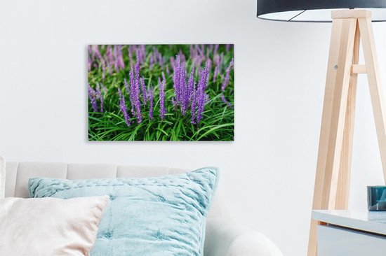 Gros plan herbe ornementale violette 30x20 cm - petit - Tirage photo sur toile (Décoration murale salon / chambre) / Peintures sur toile Fleurs