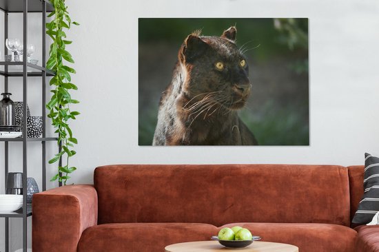 Tableaux sur toile Panthère - Gros plan - Zwart - Peintures cm - Décoration murale