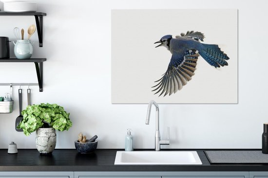 Blue Jay devant toile fond blanc 2cm 80x60 cm - impression photo sur toile peinture Décoration murale salon / chambre à coucher) / Animaux sauvages Peintures Toile