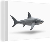 Canvas Schilderij Haai - Zeedieren - Wit - 90x60 cm - Wanddecoratie