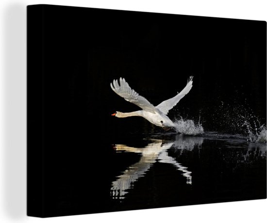 Vliegende zwaan Canvas 60x40 cm - Foto print op Canvas schilderij (Wanddecoratie)