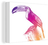 Une illustration d'un toucan coloré sur une toile de fond blanc 80x60 cm - Tirage photo sur toile (Décoration murale salon / chambre)