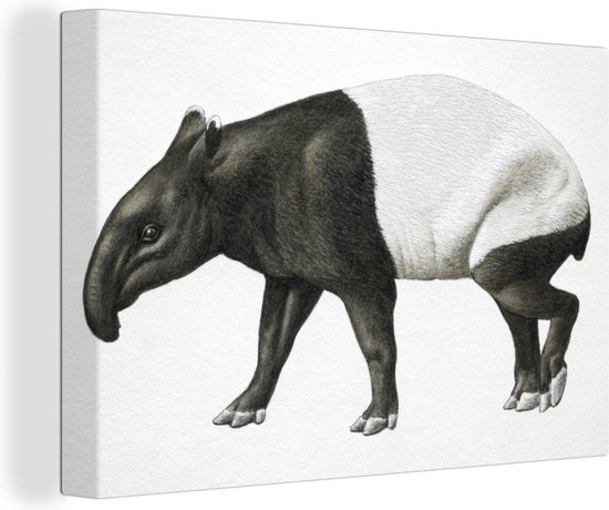 Canvas schilderij 180x120 cm - Wanddecoratie Illustratie van een tapir in het zwart-wit die loopt. - Muurdecoratie woonkamer - Slaapkamer decoratie - Kamer accessoires - Schilderijen