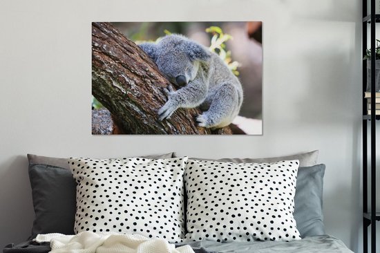 Peintures sur Toile Koala - Arbre - Endormi - 90x60 cm - Décoration murale