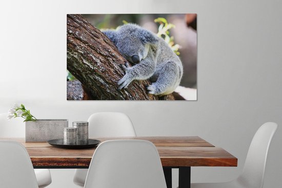 Peintures sur Toile Koala - Arbre - Endormi - 90x60 cm - Décoration murale