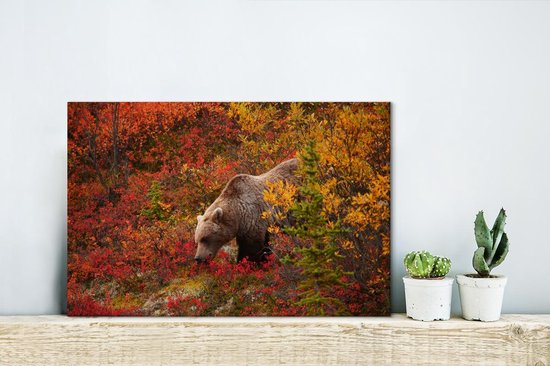Canvas Schilderij Grizzly beer vertoont zich in het Nationaal park Denali tussen de kleurrijke bladeren in Alaska - 30x20 cm - Wanddecoratie