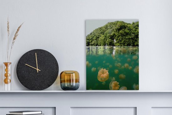Demi-forêts photo sous-marines près du lac des méduses à Palau Toile 30x40 cm - petit - Tirage photo sur toile (décoration murale salon / chambre)