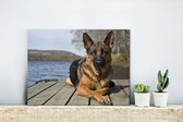 Canvas Schilderij Een Duitse Herder op een pier - 40x30 cm - Wanddecoratie