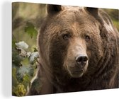Un gros plan d'une toile marron Grizzly Bear 60x40 cm - Tirage photo sur toile (Décoration murale salon / chambre) / Animaux sauvages Peintures sur toile
