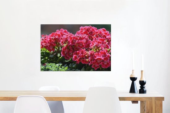 Fleurs de géranium dans un jardin Toile 60x40 cm - Tirage photo sur toile (Décoration murale salon / chambre)
