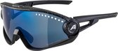 Alpina fietsbril 5W1NG zwart