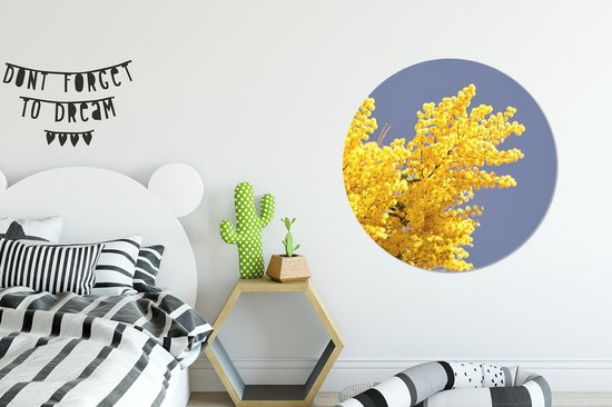 Fleurs de mimosa jaune vif avec ciel bleu Sticker mural cercle papier peint 100x100 cm / cercle papier peint / cercle mural / cercle vivant - auto-adhésif et découpe ronde