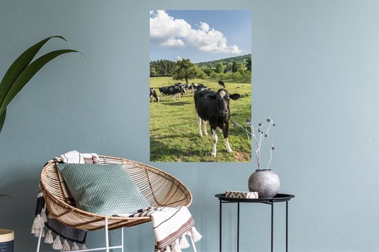 Sticker Muursticker Vache frisonne Luxurydeco - Troupeau de vaches paissant en België - 40x60 cm - Film adhésif autocollant - Sticker mural repositionnable