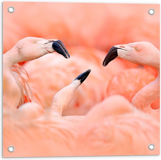 Tuinposter – Flamingo's bij Elkaar - 50x50cm Foto op Tuinposter  (wanddecoratie voor buiten en binnen)