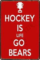 Retro Muur Decoratie uit Metaal Hockey 20x30cm DU-6990
