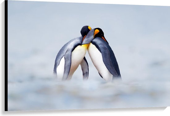 Canvas  - Knuffelende Pinguïns  - 120x80cm Foto op Canvas Schilderij (Wanddecoratie op Canvas)