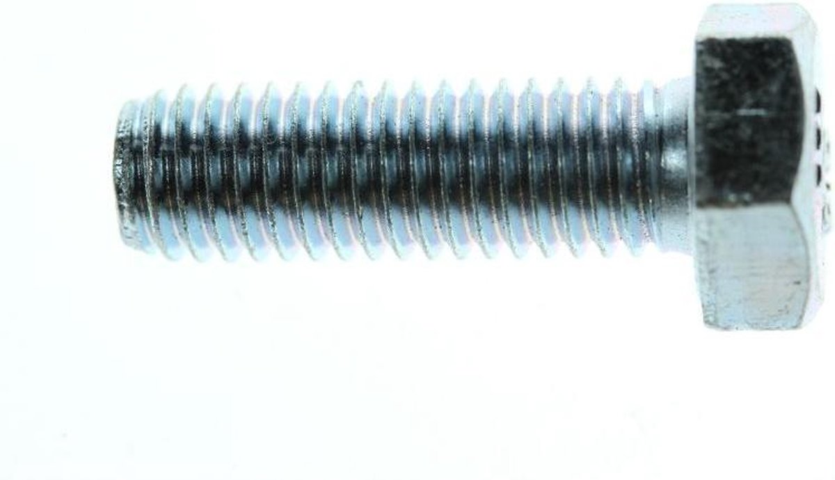 Ds Bouten Zesk.Kop M8X25 Zink (25St)