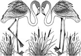 Unmounted Rubber Stamp Pretty Flamingos (CI-473)