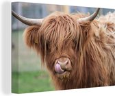 Peintures sur toile - Vache - Highlander écossais - Macro - 30x20 cm - Décoration murale