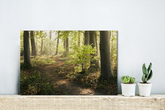 Chemin dans la forêt Toile 30x20 cm - petit - Tirage photo sur toile (Décoration murale salon / chambre) / Décoration murale Peintures sur toile