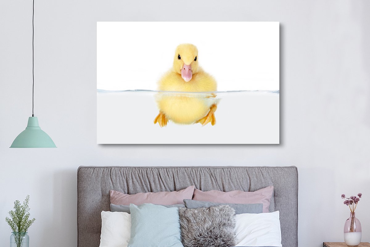 Canvas schilderij 180x120 cm - Wanddecoratie Zwemmende baby eend - Muurdecoratie woonkamer - Slaapkamer decoratie - Kamer accessoires - Schilderijen — afbeelding 3