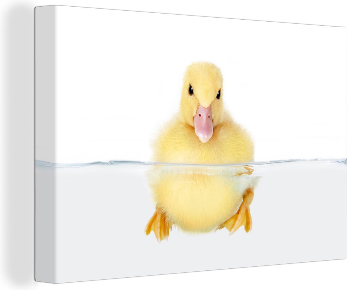 Canvas schilderij 140x90 cm - Wanddecoratie Zwemmende baby eend - Muurdecoratie woonkamer - Slaapkamer decoratie - Kamer accessoires - Schilderijen