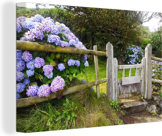 Canvas Schilderij Cottage tuin met hortensia's - 30x20 cm - Wanddecoratie |  bol.com