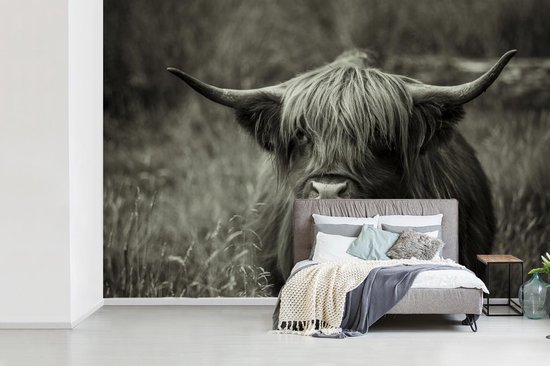 Papier peint - Papier peint photo Scottish Highlander - Portrait - Zwart - Wit - Largeur 360 cm x Hauteur 240 cm
