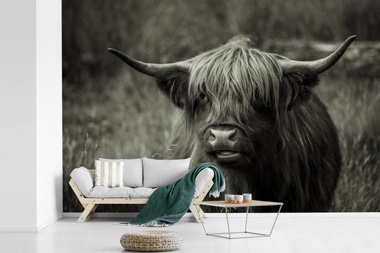 Papier peint - Papier peint photo Scottish Highlander - Portrait - Zwart - Wit - Largeur 360 cm x Hauteur 240 cm